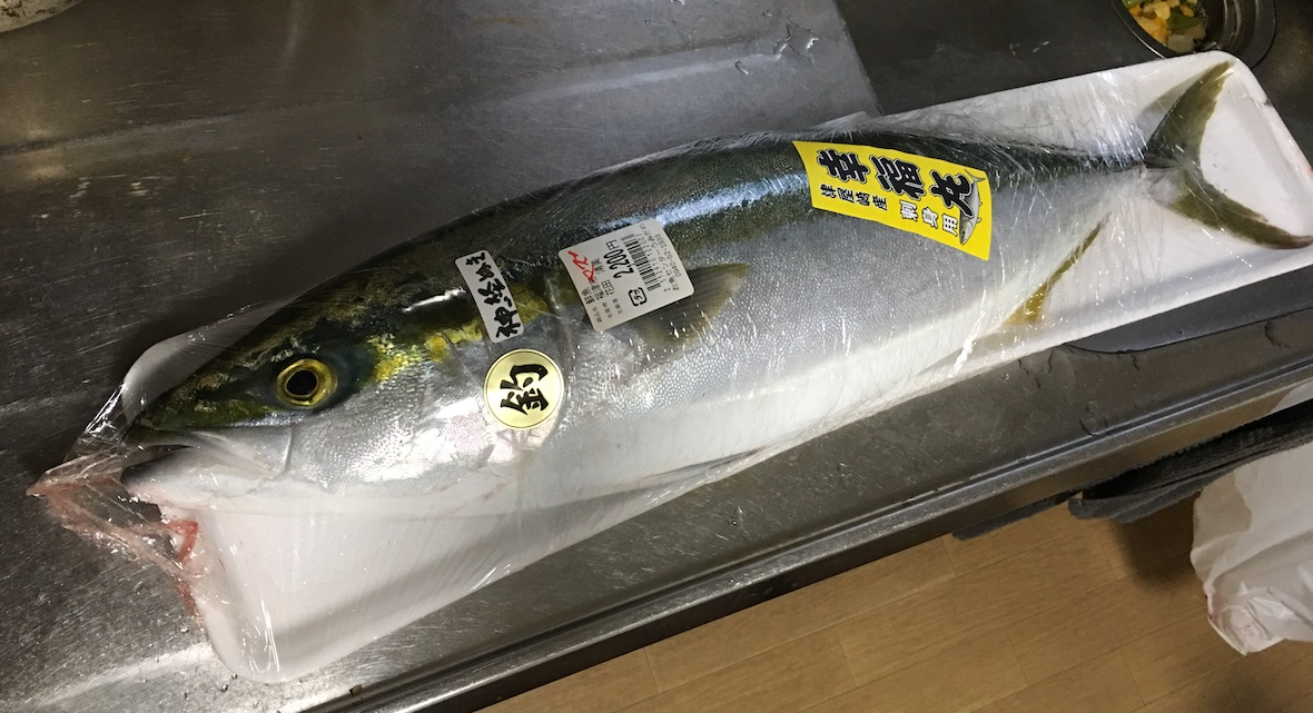 秋の魚その1 ヤズ 新鮮な魚はやっぱり美味い