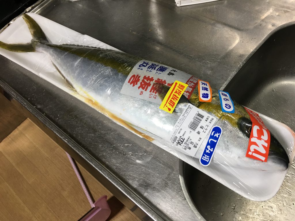 正月用にヒラマサ1本購入 新鮮な魚はやっぱり美味い