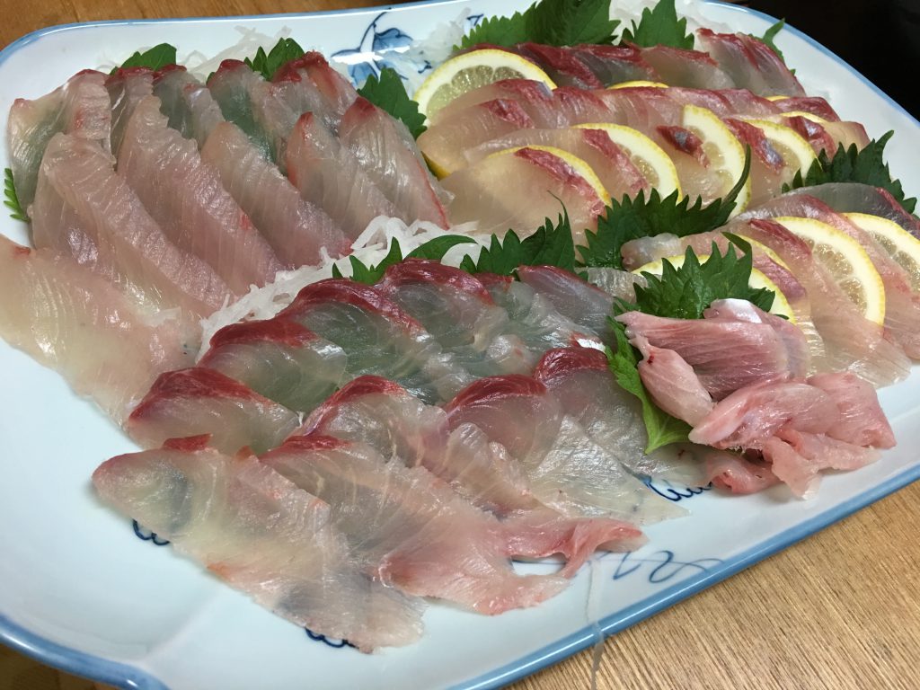 正月用にヒラマサ1本購入 新鮮な魚はやっぱり美味い