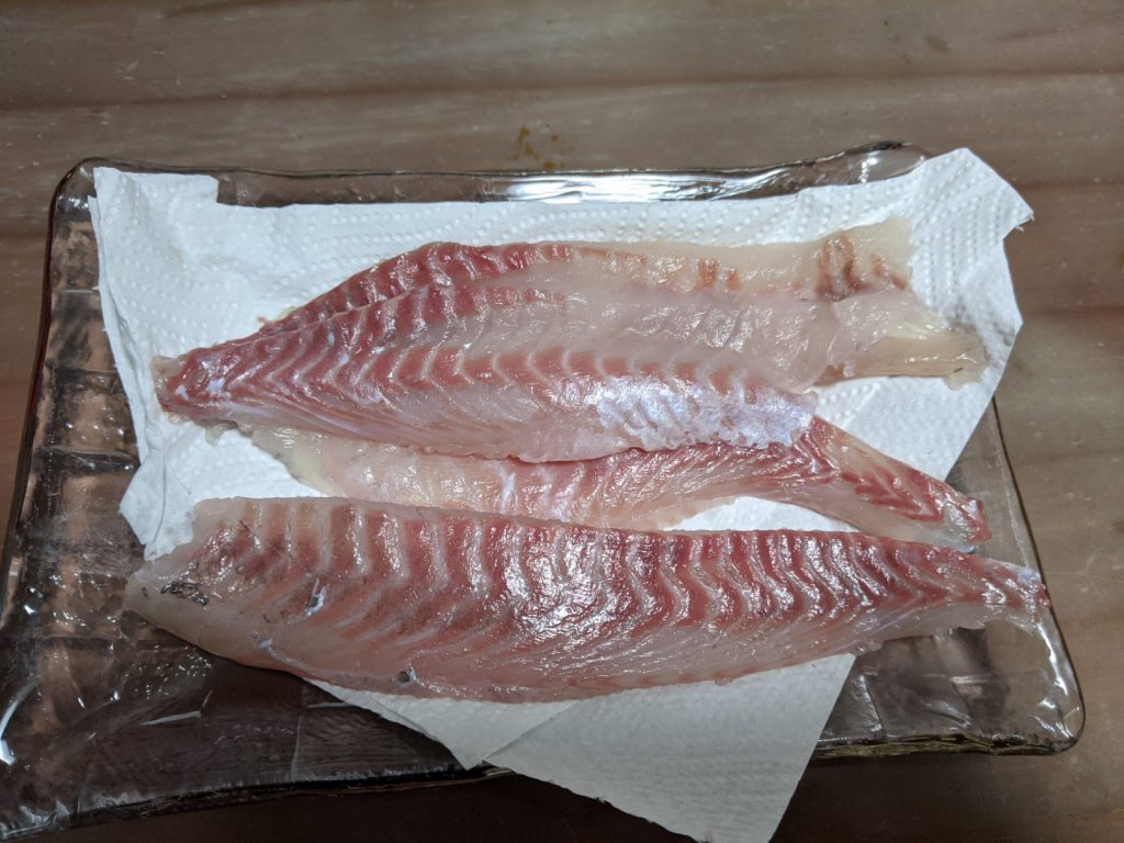 冬場のクロ メジナ は脂ののりが半端ない 新鮮な魚はやっぱり美味い