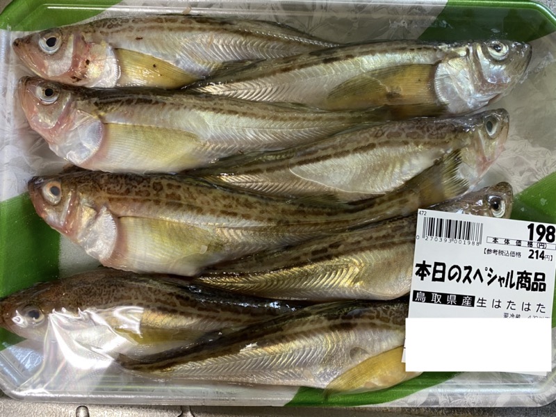 東北のものと思っていたけど鳥取産のハタハタが美味しかった