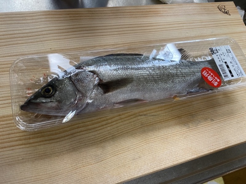 セイゴの刺身 魚食92日目 新鮮な魚はやっぱり美味い