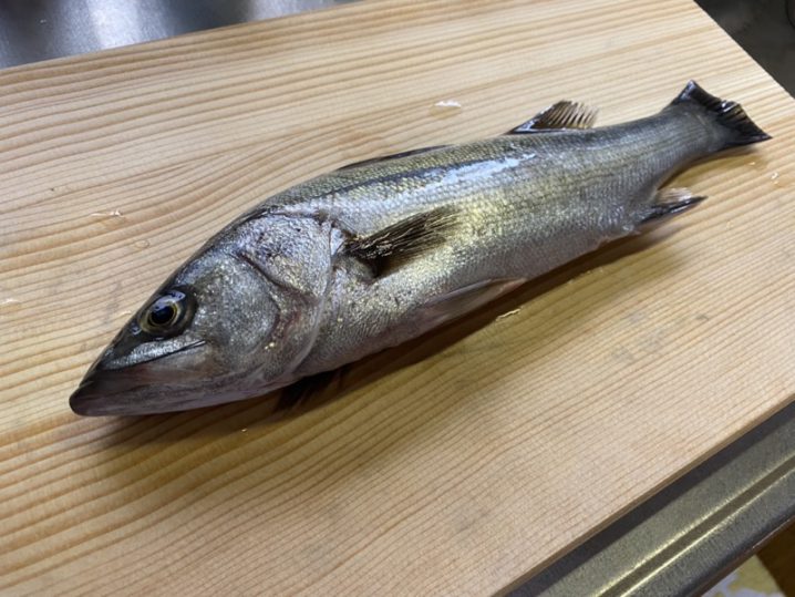 セイゴの刺身 魚食92日目 新鮮な魚はやっぱり美味い